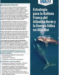 Ballena Franca Estrategia Eolica poster