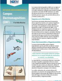 Campos Electromagneticos