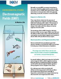 Thumbnail of EMF Marine Life handout