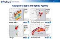 Thumbnail of NCCOS Spatial Modeling Results maps