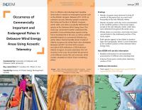 Endangered fishes factsheet thumbnail