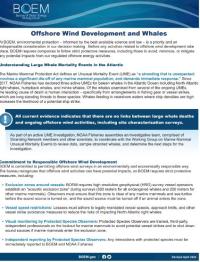 Offshore Wind Development and Whales 
