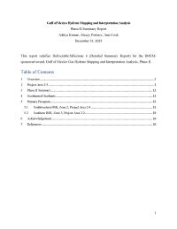 Phase 2Area5_FinalReport_Page_01