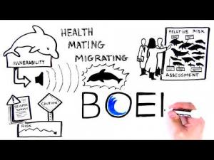 BOEM Acoustics Whiteboard Animation