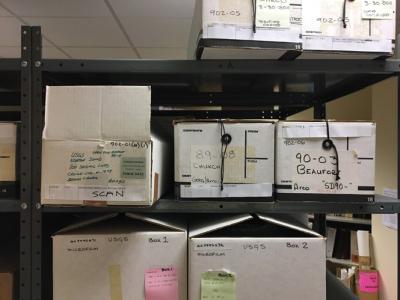 Archived Records in Boxes