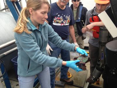 BOEM marine archaeologist Melanie Damour