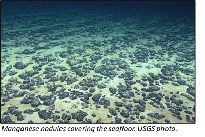 Nodules covering the seafloor