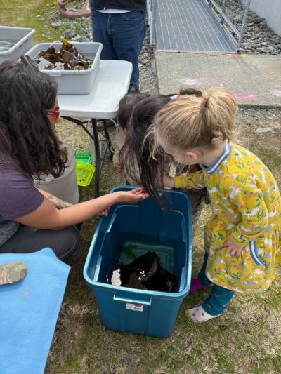 A woman kneeling by a large plastic tub of seaweed shows some of the seaweed to three small schoolchildren.