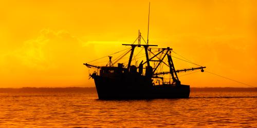 A fishing boat on the water at sunset.