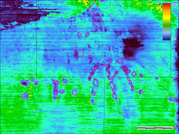 Example image of anomaly relic patch reef