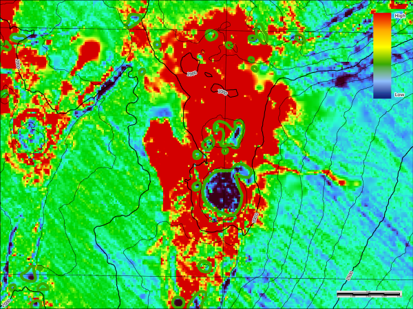 Screenshot of seep anomaly negatives with confirmed organisms near