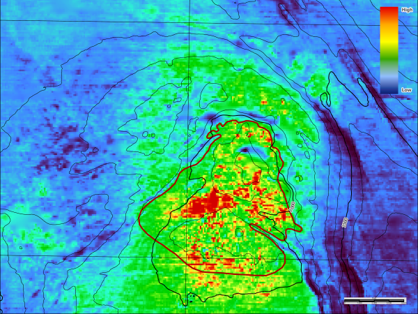 Examples of seep anomaly with confirmed organisms
