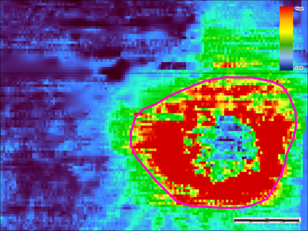 Examples screenshot of corals surrounding mud volcanos