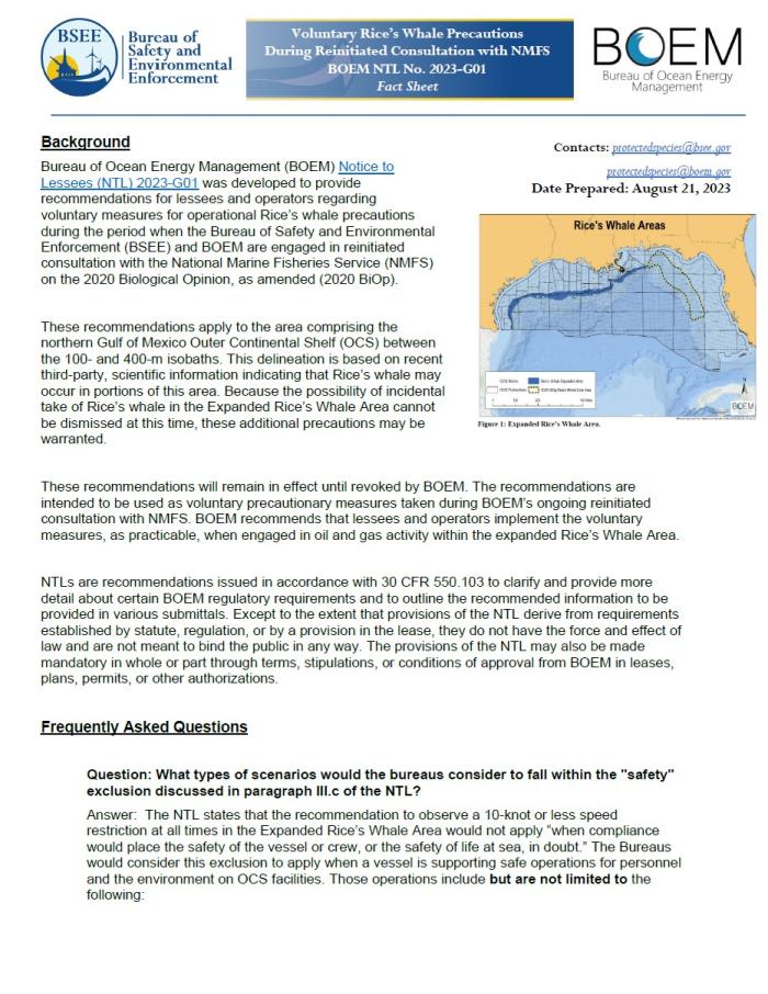 Cover for Fact Sheet on NTL Rice's Whale