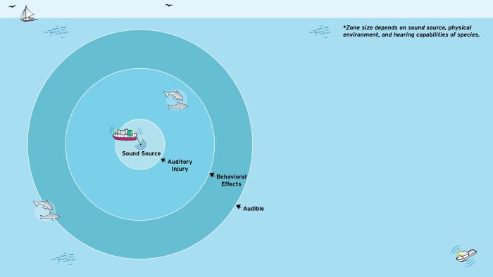 Drawing of a sound source in concentric circles of auditory injury, behavioral effects, and audible