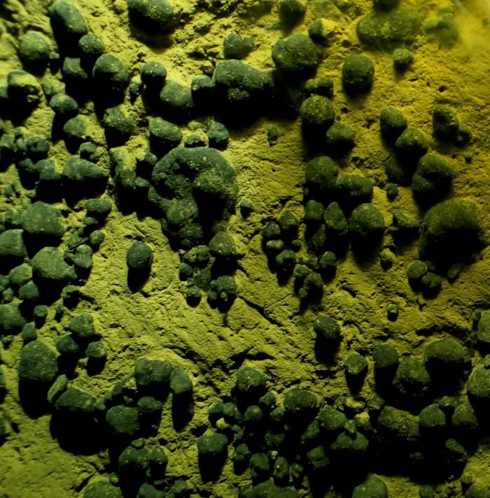 Polymetallic nodules