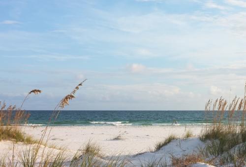 Beach with dunes at sunset