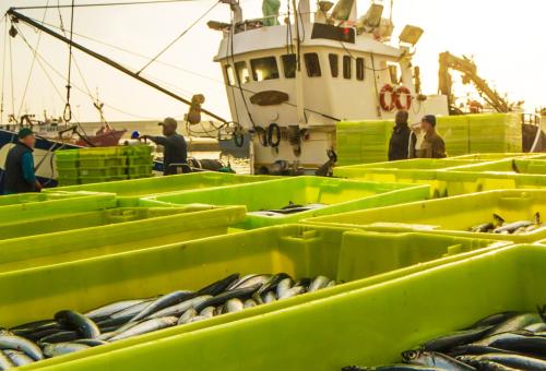 fishing boat unloading catch