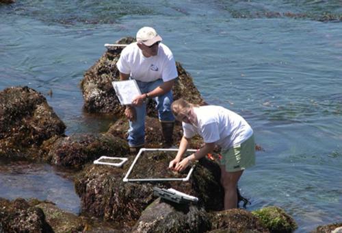 Biologist Mark Pierson and student researcher survey a rocky outcrop