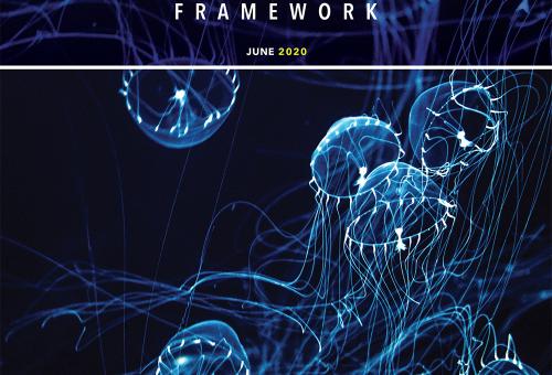 Strategic Framework