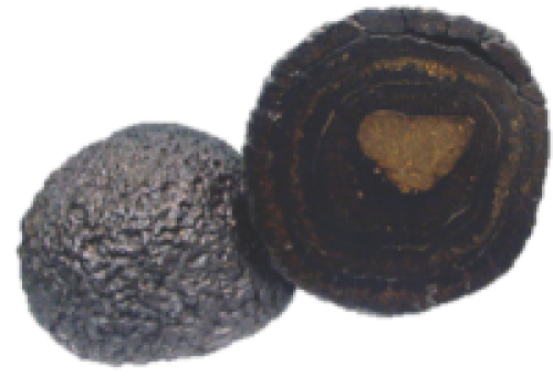 Polymetallic nodules