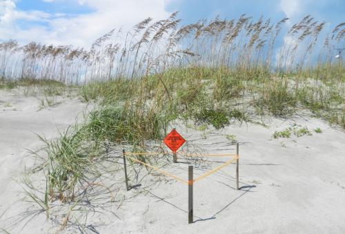 Public Involvement Environmental Assessment Thumbnail