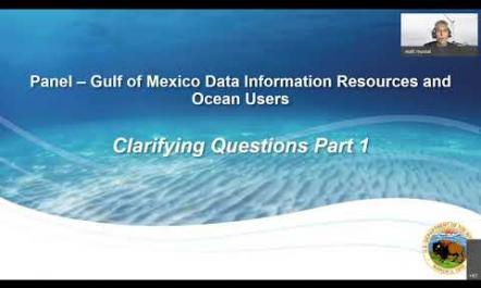 17  Gulf of Mexico Data Information Resources and Ocean Users Panel   Q&A Part 1