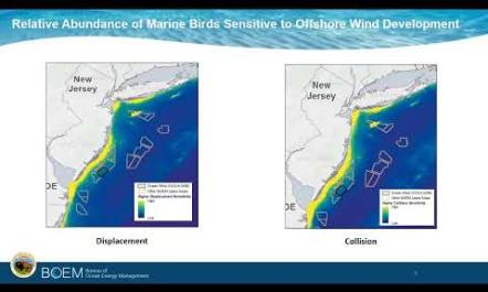 An Overview of Bird Impact Analysis in the DEIS