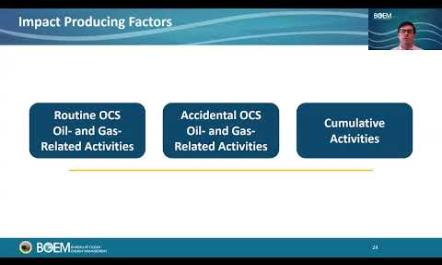 The Gulf Draft Programmatic EIS Overview 1 15 2025
