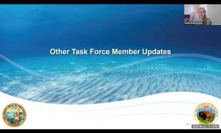 Task Force Updates Other Task Force Updates & Task Force Questions and Discussion