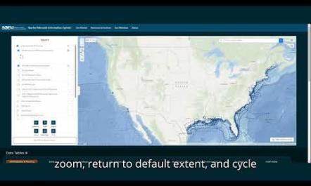 MMIS Viewer Tutorial