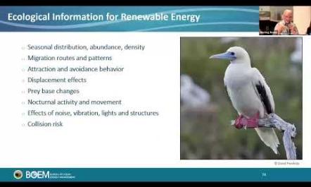 Overview of BOEM Studies Program and Region specific Studies Underway