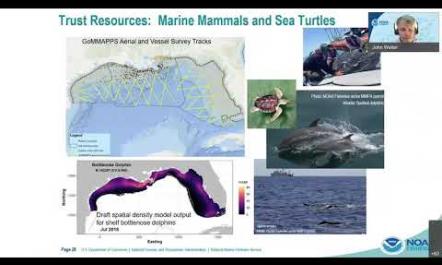 15  SEFSC NOAA John Walter