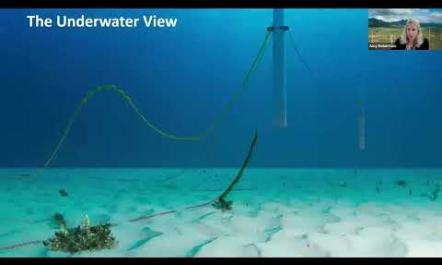 Floating Offshore Wind 101