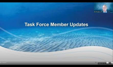 Task Force Member Updates
