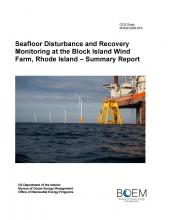 Seafloor-Survey-Summary-Report 1