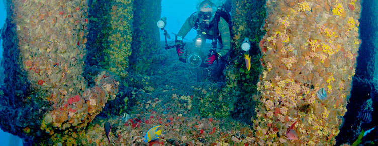 GOM deep water shell US