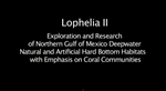 lophelia video thumbnail