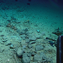 Blake Ridge Shipwreck