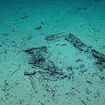 Blake Ridge Shipwreck