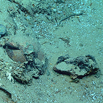 Blake Ridge Shipwreck