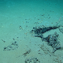 Blake Ridge Shipwreck