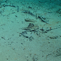 Blake Ridge Shipwreck