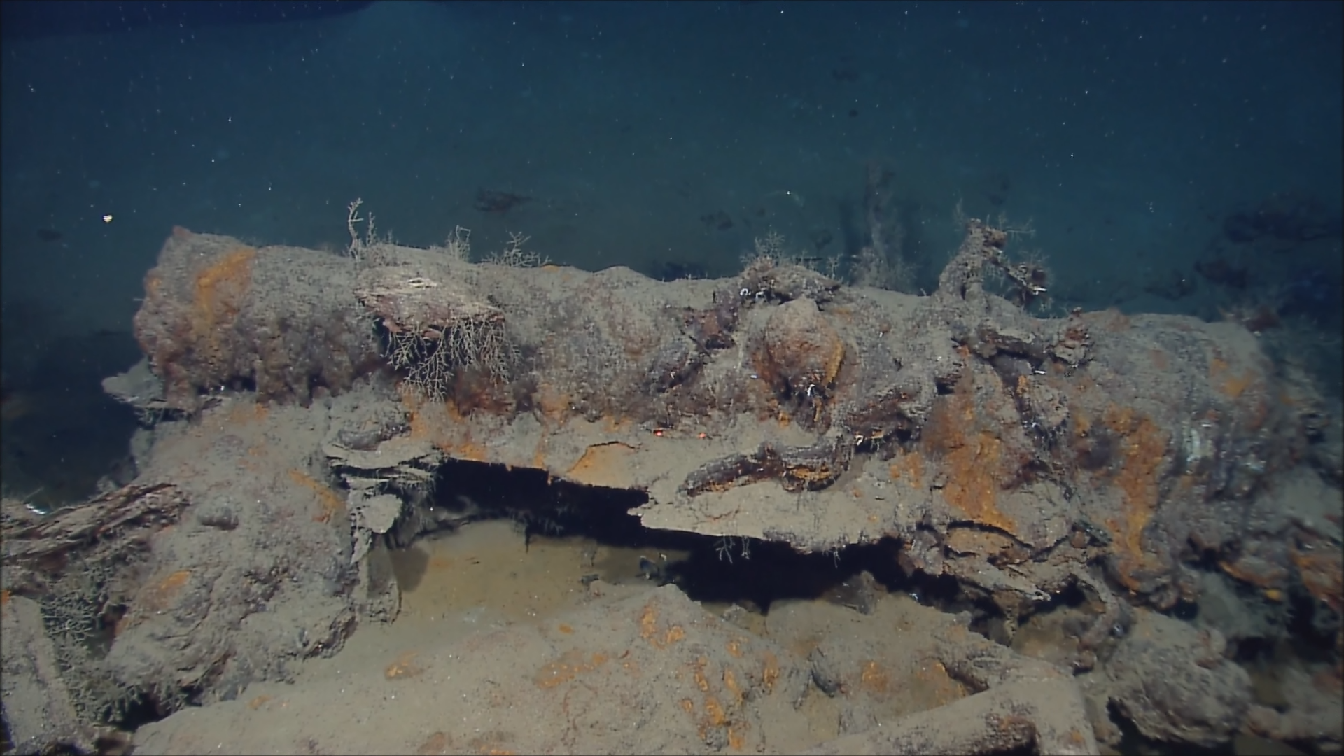 Подводные океанические хребты тихого океана. Мыс тарханкут аллея вождей. Трубы титаника под водой. Музей подводных скульптур в канкуне. Микропластик в океане.