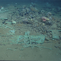 Monterrey C Shipwreck