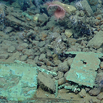 Monterrey C Shipwreck