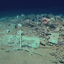 Monterrey C Shipwreck