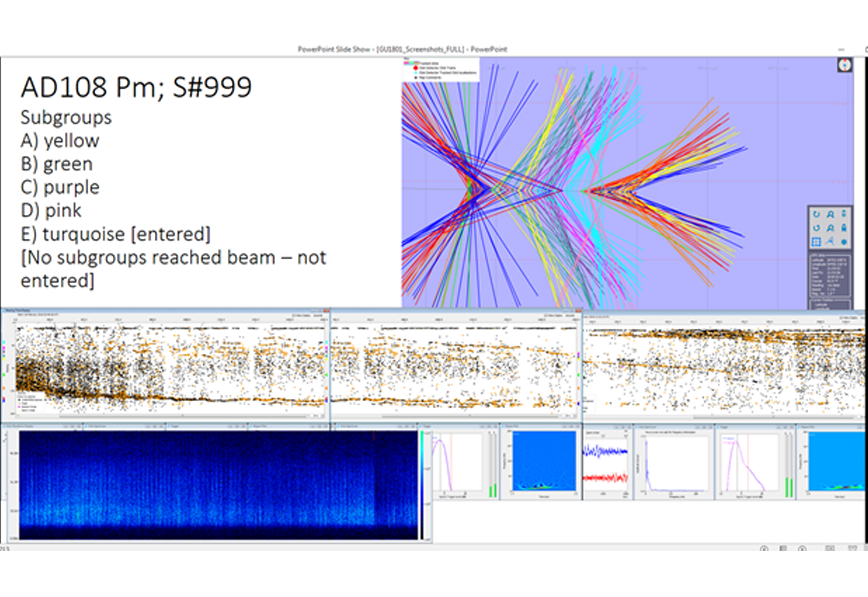 GOMMAPPS-FD-Computer-Displays-Sperm-Whales