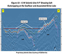 Fig 13 salt and brine seis F-F'