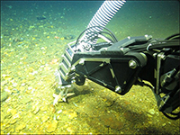 Biological sampling at one of the Billy Mitchell shipwreck sites.